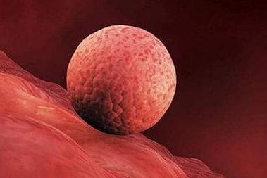 泰国三代试管婴儿总共多少钱？费用透明，服务贴心