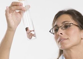 试管婴儿要成功，完全躺床未必助孕