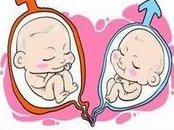 重度宫腔粘连在磐石市做试管婴儿靠谱吗？重度宫腔粘连试管婴儿成功率多少