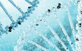 泰国试管婴儿医院机构有哪些医院，拉马3助孕机构榜上有名