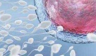 国内哪里有孩孩的试管婴儿医院，可靠吗？